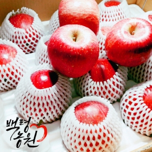 백령사과농원,선물용사과/사과5키로/부사/12과